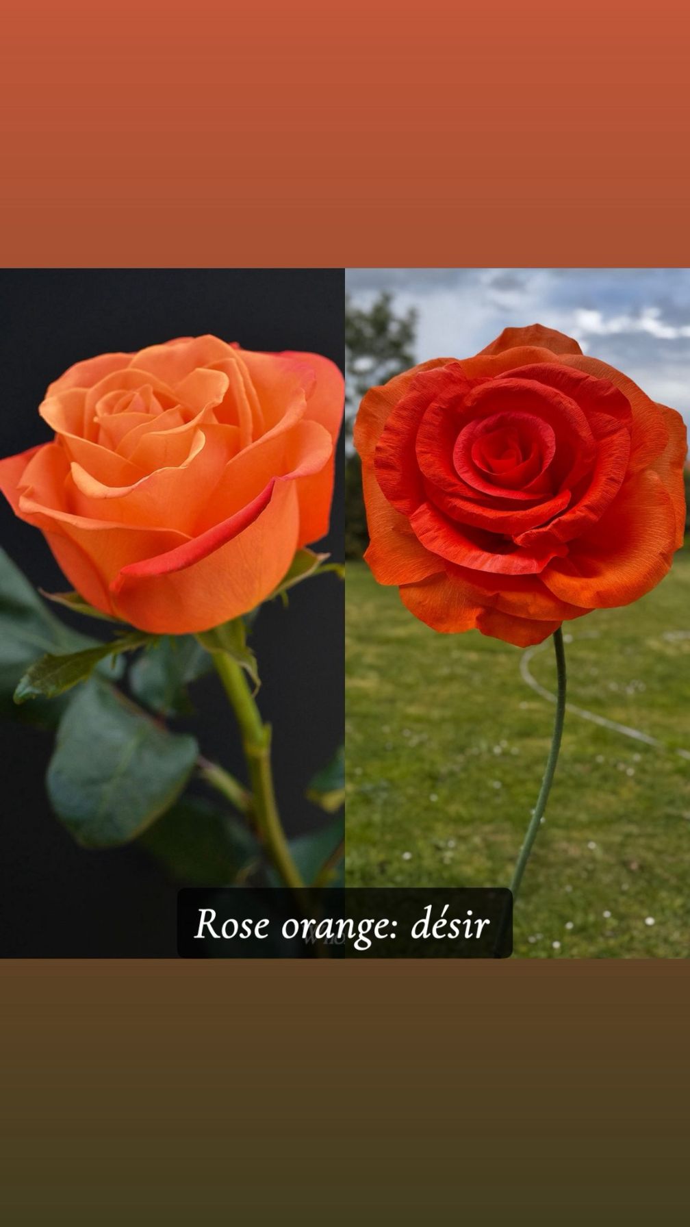 Réalisation florale 15